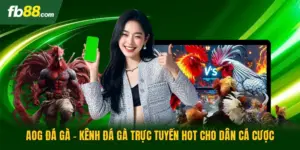 AOG Đá Gà - Kênh Đá Gà Trực Tuyến Hot Cho Dân Cá Cược