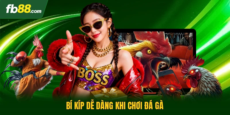 Bí kíp dễ dàng khi chơi đá gà 
