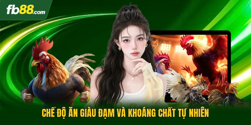 Chế độ ăn giàu đạm và khoáng chất tự nhiên