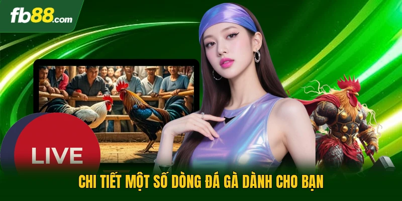 Chi tiết một số dòng đá gà dành cho bạn