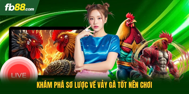 Khám phá sơ lược về vảy gà tốt nên chơi