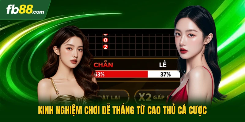 Kinh nghiệm chơi dễ thắng từ cao thủ cá cược