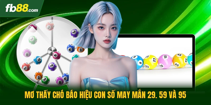 Mơ thấy chó báo hiệu con số may mắn 29. 59 và 95