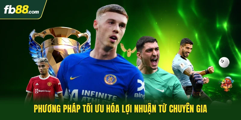 Phương pháp tối ưu hóa lợi nhuận từ chuyên gia