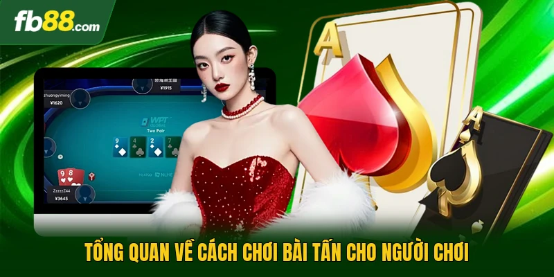 Tổng quan về cách chơi bài tấn cho người chơi 