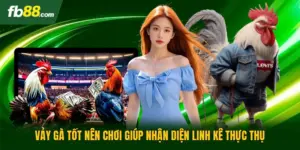 Vảy Gà Tốt Nên Chơi Giúp Nhận Diện Linh Kê Thực Thụ