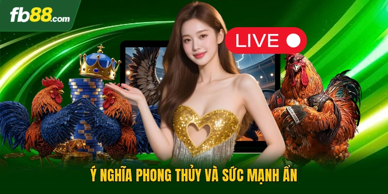 Ý nghĩa phong thủy và sức mạnh ẩn 