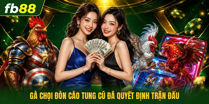 Gà chọi đòn cáo tung cú đá quyết định trận đấu
