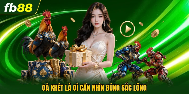 Gà khét là gì cần nhìn đúng sắc lông