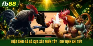 Luật Chơi Đá Gà Cựa Sắt Miền Tây - Quy Định Chi Tiết