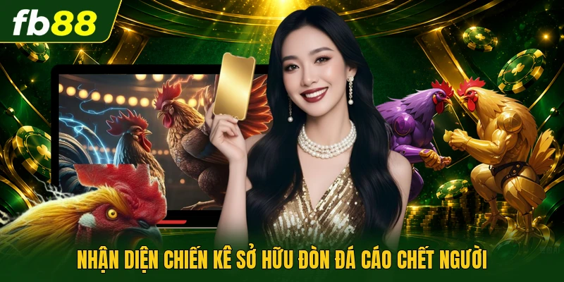 Nhận diện chiến kê sở hữu đòn đá cáo chết người
