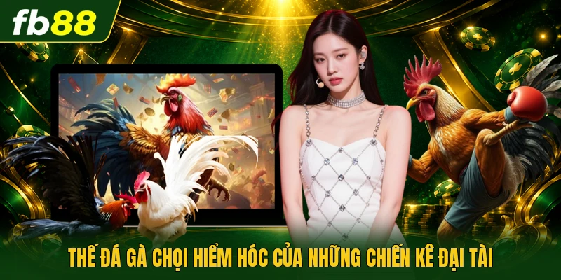 Thế đá gà chọi hiểm hóc của những chiến kê đại tài