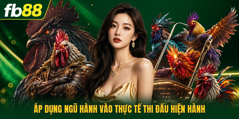Áp dụng ngũ hành vào thực tế thi đấu hiện hành