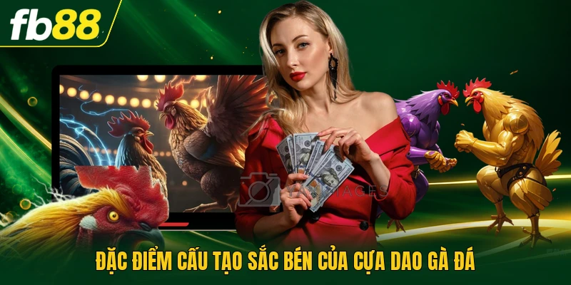 Đặc điểm cấu tạo sắc bén của cựa dao gà đá