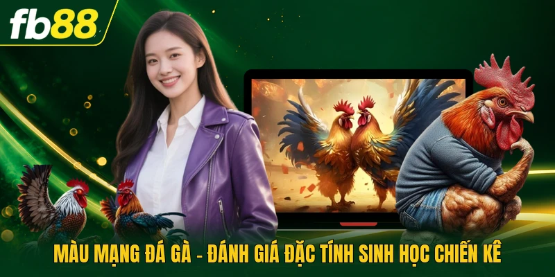 Màu Mạng Đá Gà - Đánh Giá Đặc Tính Sinh Học Chiến Kê