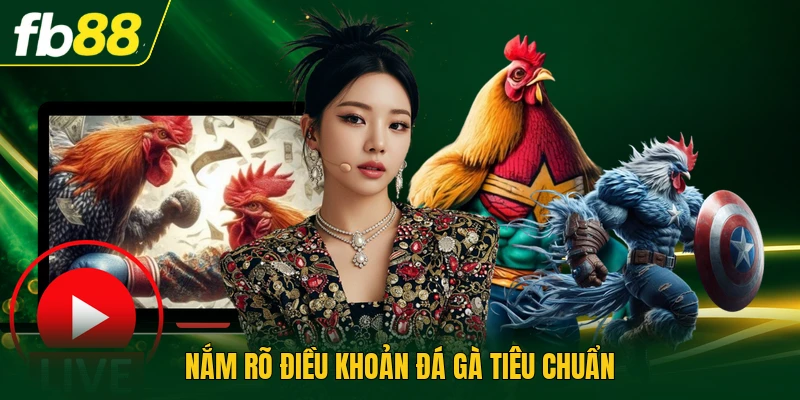 Nắm rõ điều khoản đá gà tiêu chuẩn