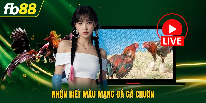 Nhận biết màu mạng đá gà chuẩn