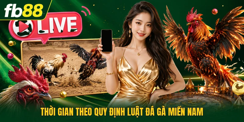 Thời gian theo quy định luật đá gà miền nam