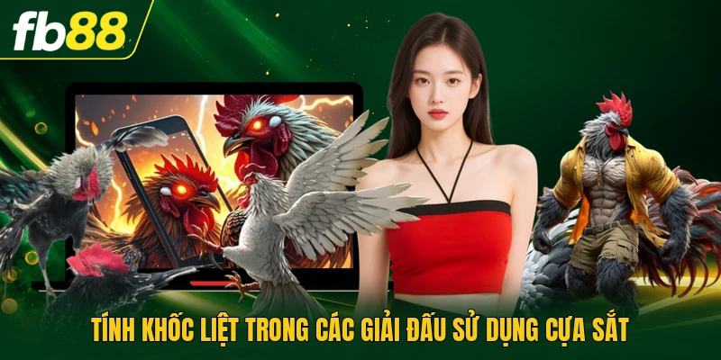 Tính khốc liệt trong các giải đấu sử dụng cựa sắt