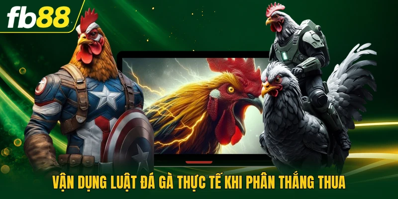 Vận dụng luật đá gà thực tế khi phân thắng thua